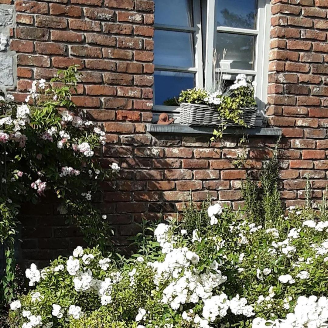 A L'Ombre Du Noyer Bed & Breakfast Fernelmont Dış mekan fotoğraf
